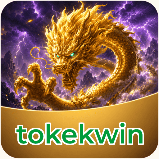 tokekwin APK Structure